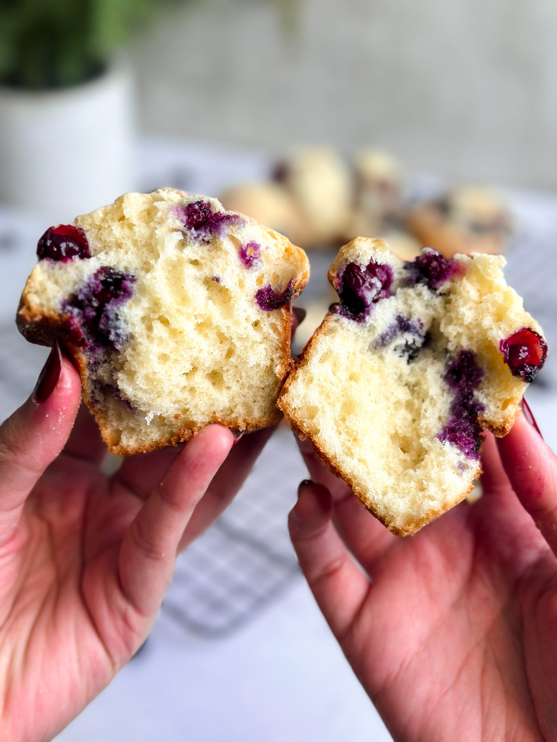 Hands tearing apart a blueberry muffins in 2 halves revealing bursting blueberries inside