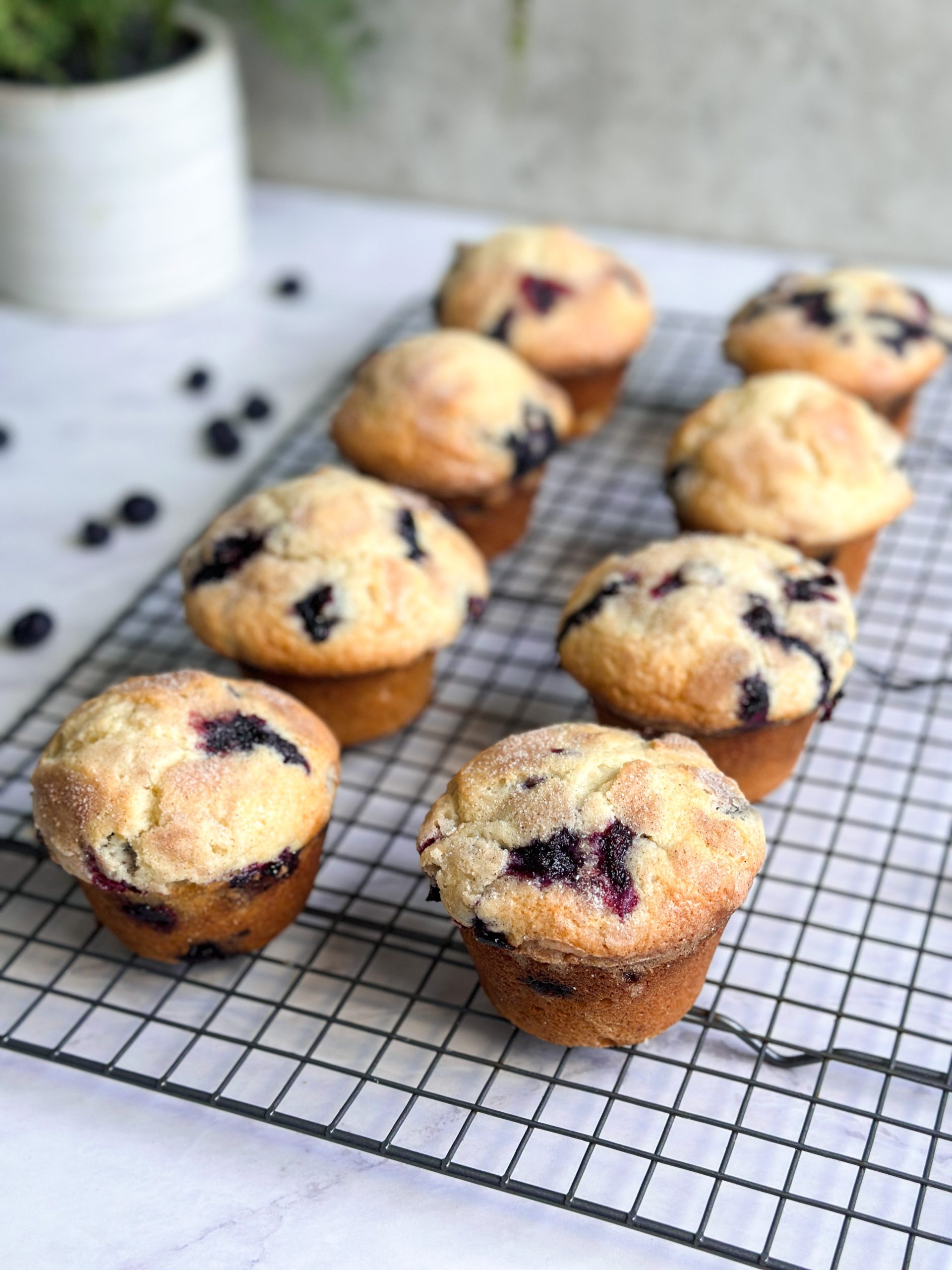 Bakery-Style Blueberry Muffins - Sarah's Day Off