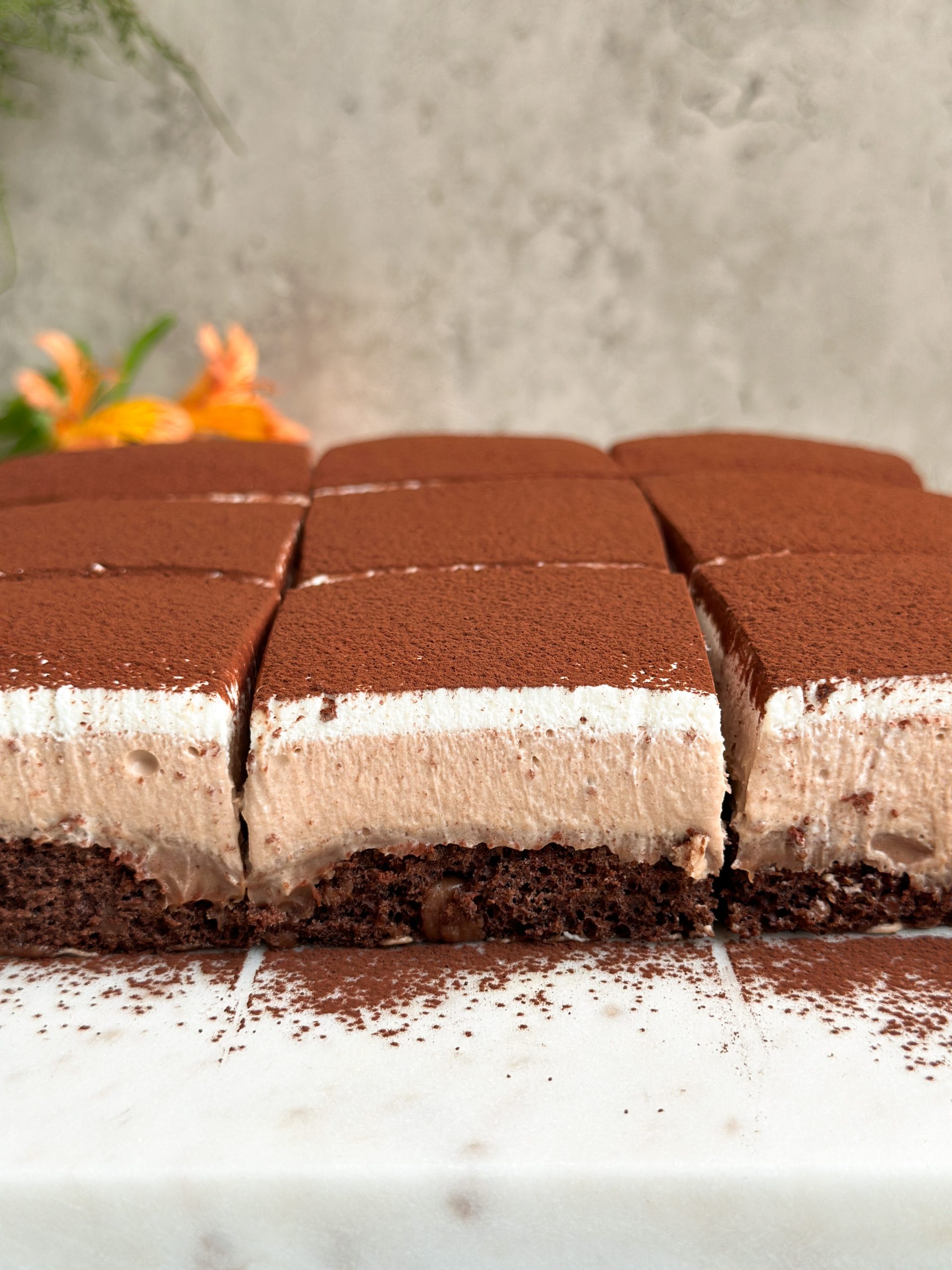 close up of layered chocolate mousse cake slices showing layer of cake, mousse and whipped cream, covered in cocoa powder