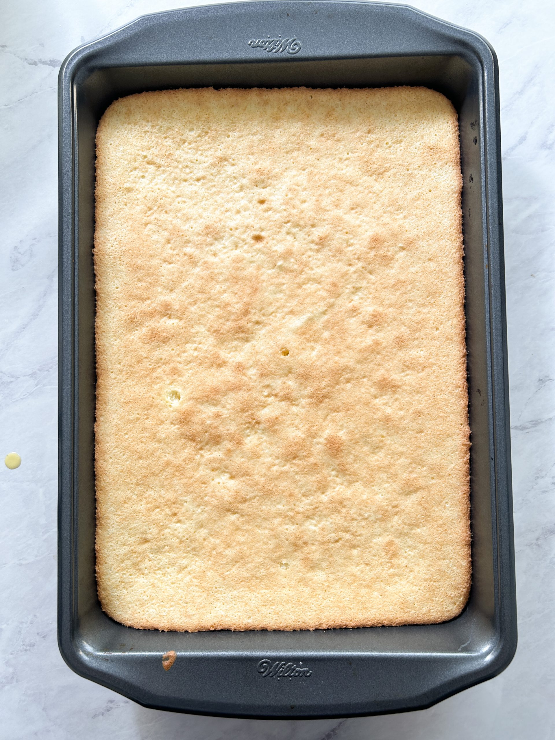 biscuit cake sponge in a pan
