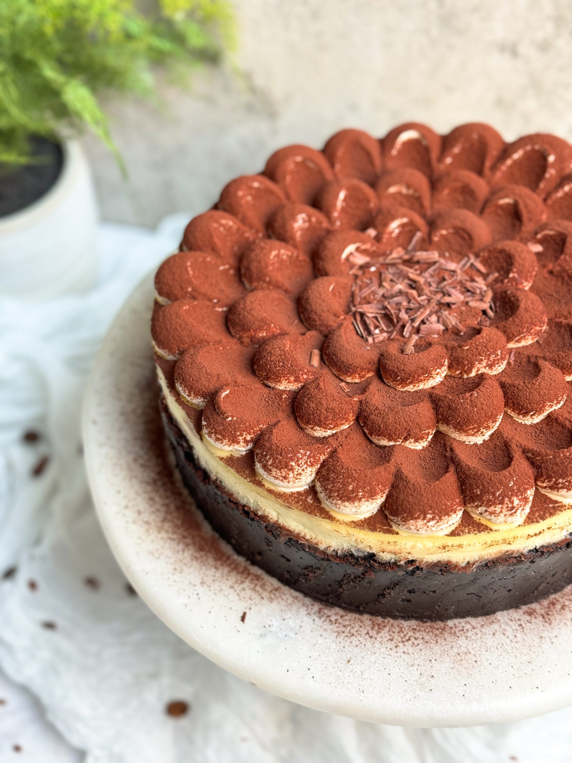tiramisu cheesecake on a white marble cake stand. Cheesecake has a chocolate crust, a plain cheesecake filling, and is topped with dollops of mascarpone cream dusted with cocoa powder. Picture shows partial cheesecake