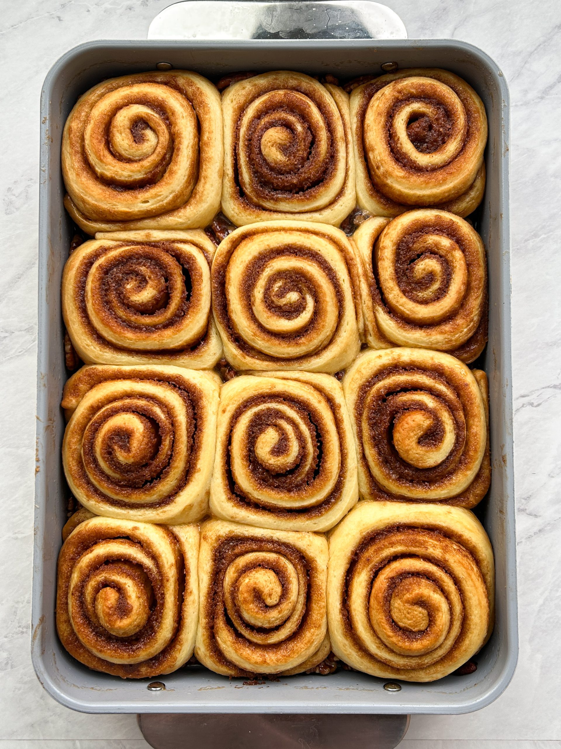 12 cinnamon rolls shaped and placed on top of sticky pecan filling in a 9x13 baking dish. they have been baked and now fill up the tray with swirls of cinnamon sugar seen in them