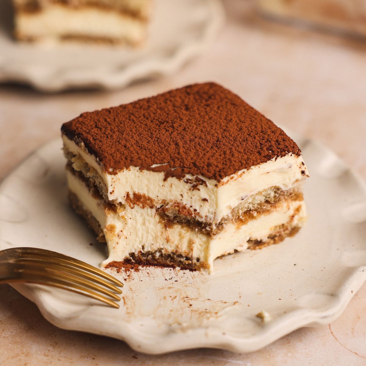 BEST Classic Italian Tiramisu Complete Guide BAKE WITH ZOHA BEST Classic Italian Tiramisu Complete Guide BAKE WITH ZOHA