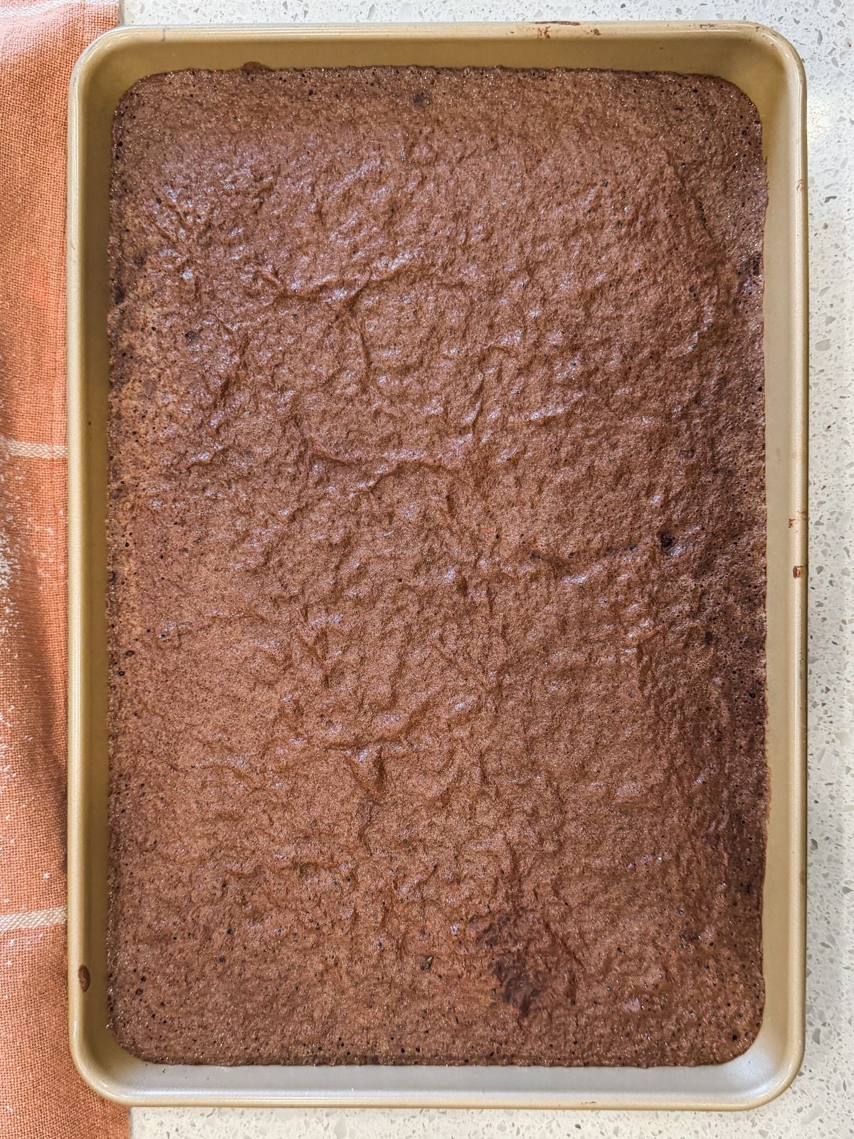 A large rectangular pan filled with a sheet of baked chocolate genoise sponge, with a slightly cracked and textured top, sits on a light-colored countertop next to an orange cloth.
