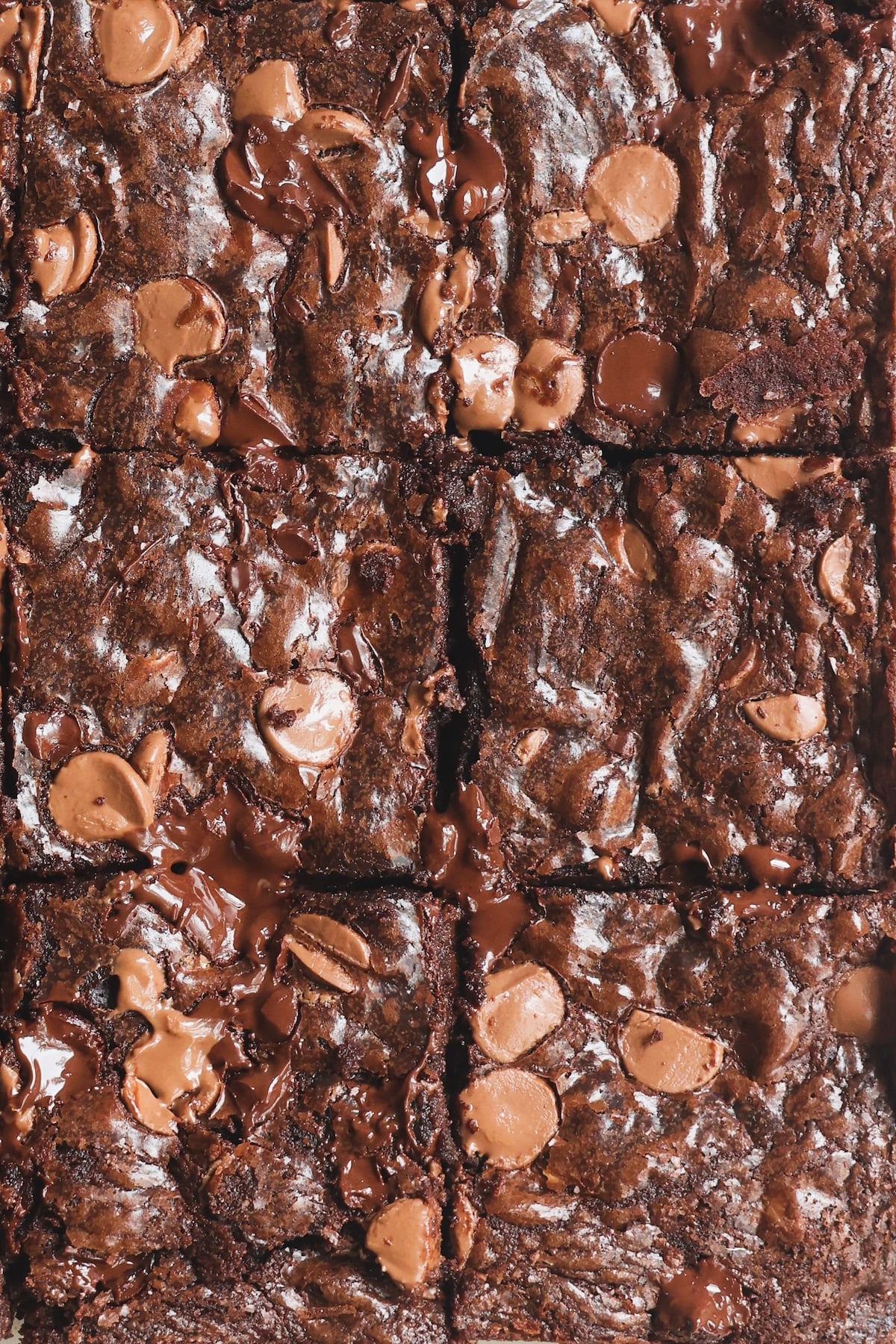 Close-up of rich, fudgy chocolate brownies cut into squares, topped with melted chocolate chips and chunks, showing a glossy, textured surface.