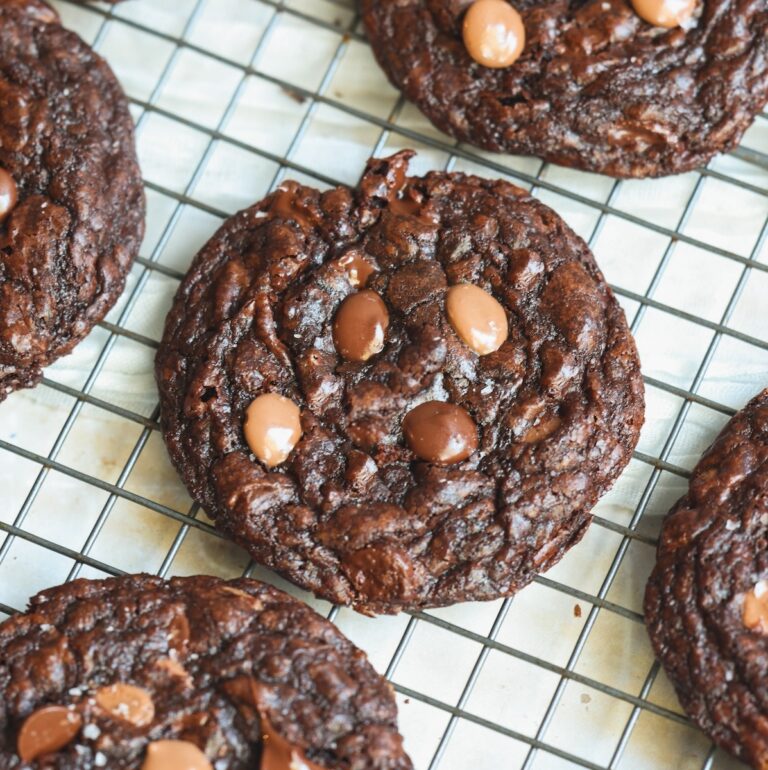 A close-up of chocolate cookies with chocolate chips cooling on a wire rack. The cookies are round, dark, and have a soft texture with several chocolate chips on top.