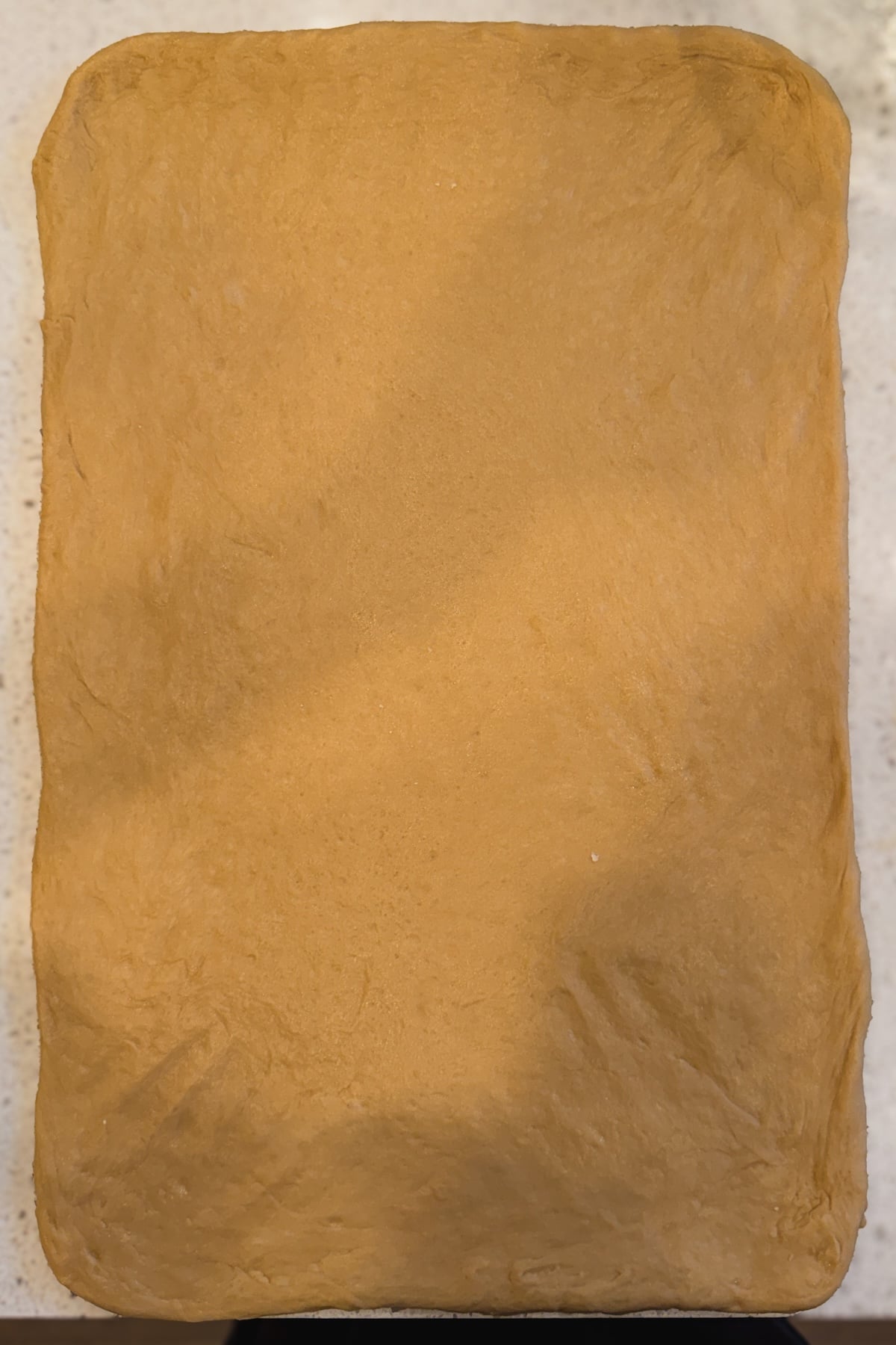 A rectangular sheet of smooth, tan dough laid out on a speckled countertop, ready to be used for baking or cooking.