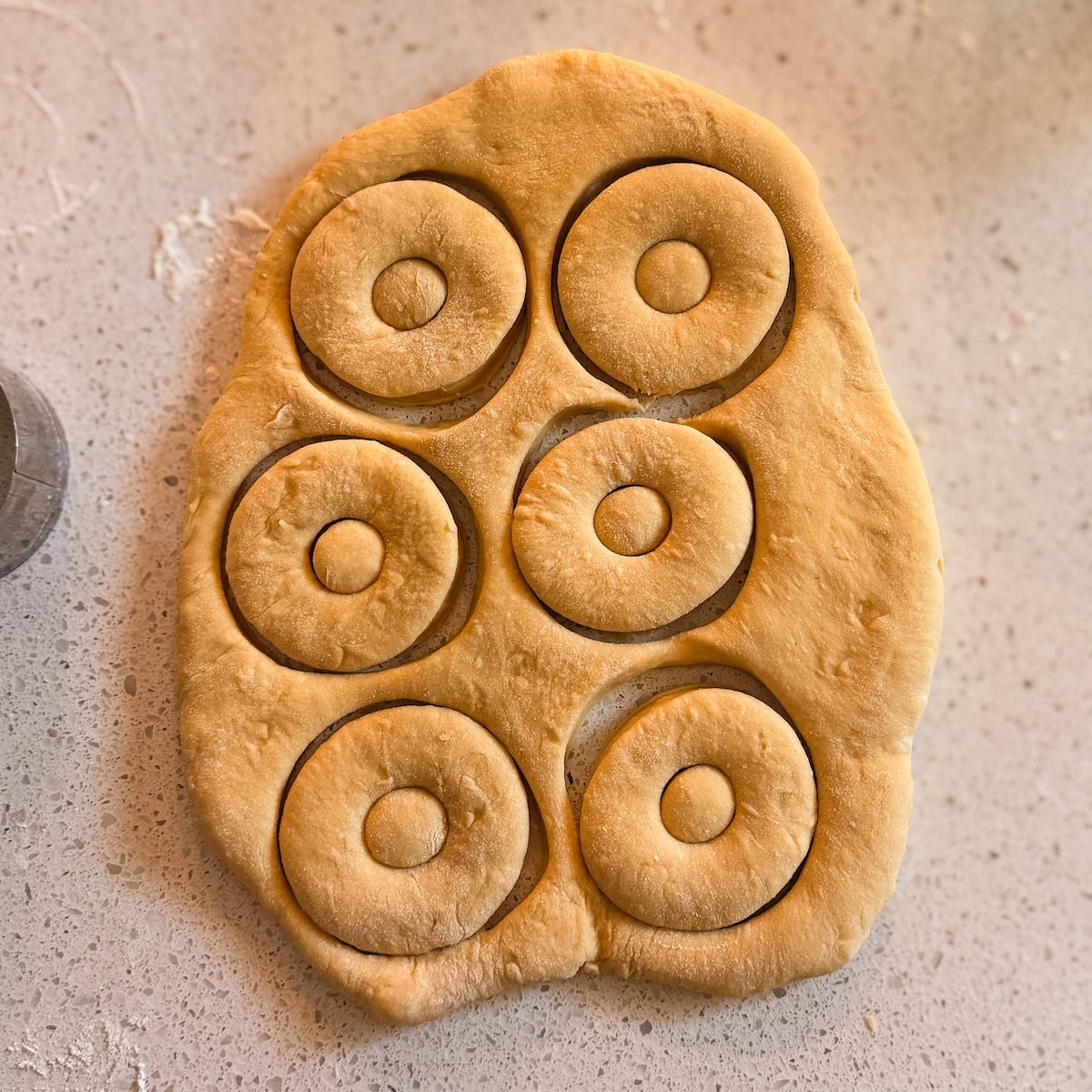 Dough rolled out on a countertop with six donut shapes cut out, each with a smaller hole in the center, ready for baking or frying.