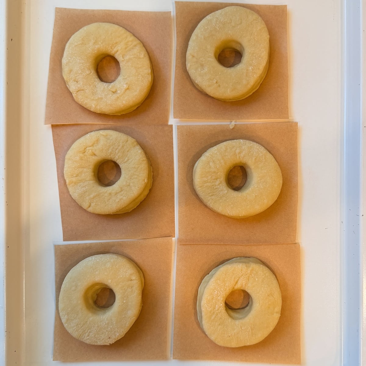 Six uncooked, round donuts with holes in the center rest on individual squares of parchment paper, arranged in two columns on a white surface.