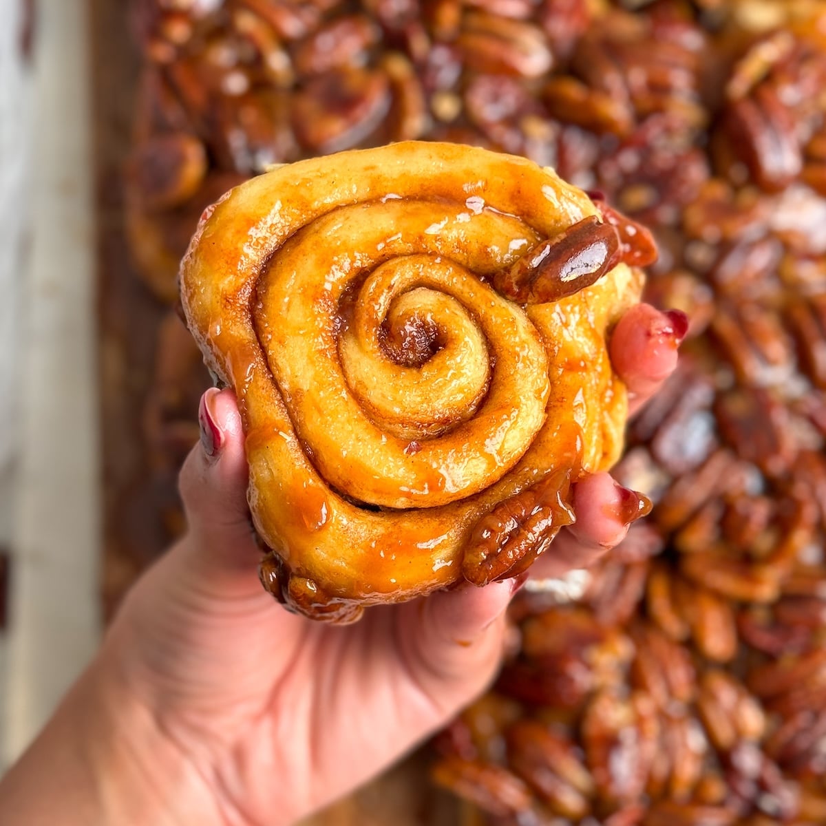 A hand holds a sticky, glazed cinnamon roll topped with pecans. More cinnamon rolls with pecans are visible in the blurred background.